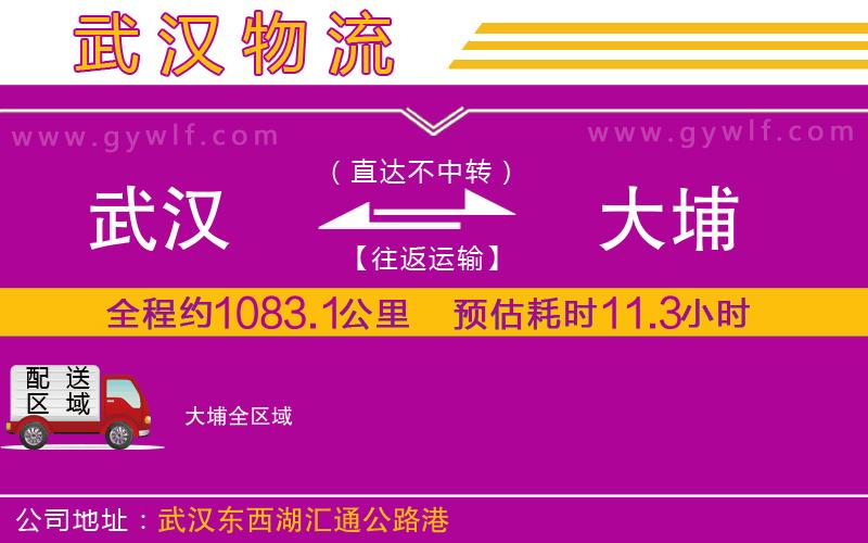 武漢到大埔貨運公司