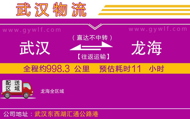 武漢到龍海物流公司