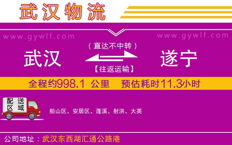 武漢到遂寧物流公司