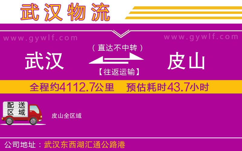 武漢到皮山貨運公司