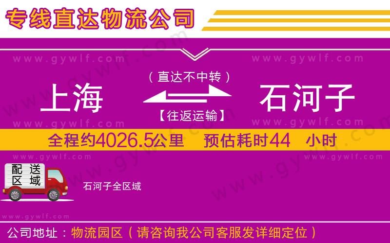 上海到石河子貨運(yùn)專(zhuān)線(xiàn)