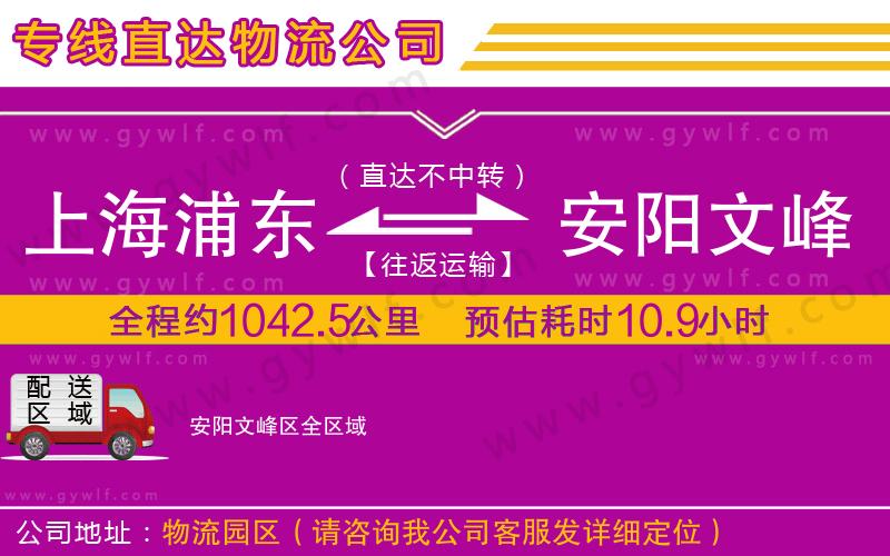 上海浦東區(qū)到安陽文峰區(qū)物流公司