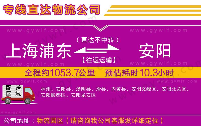 上海浦東區(qū)到安陽物流公司