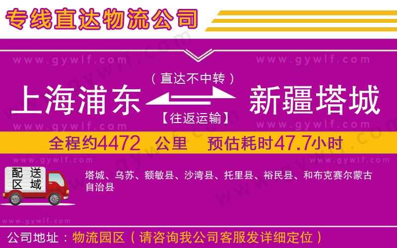 上海浦東區(qū)到新疆塔城地區(qū)物流公司