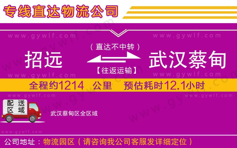 招遠(yuǎn)到武漢蔡甸區(qū)物流公司